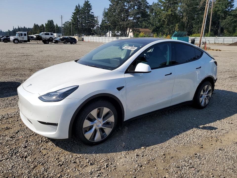 2022 TESLA MODEL Y - 1
