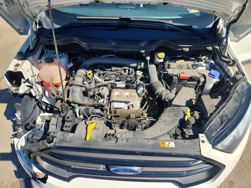 2019 FORD ECOSPORT S 12