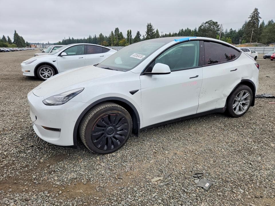 2022 TESLA MODEL Y - 1