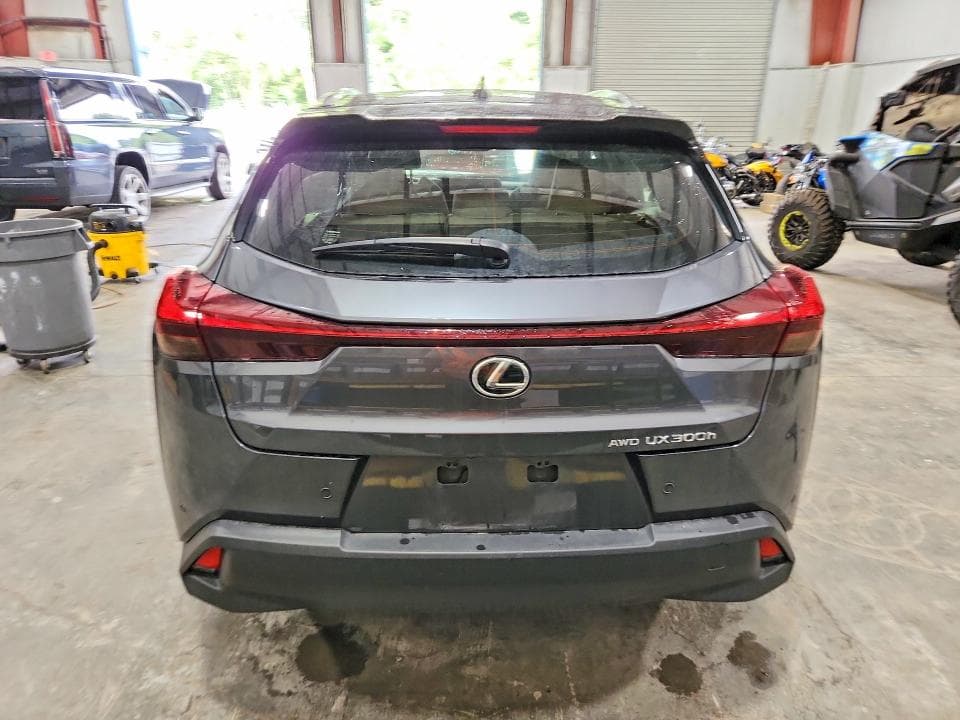 2025 LEXUS UX 300H PREMIUM 6