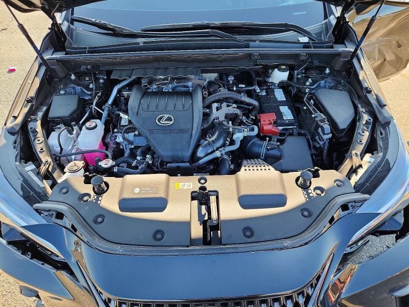 2025 LEXUS NX 350 BASE 12