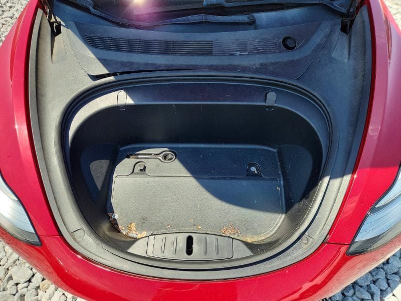 2019 TESLA MODEL 3 11