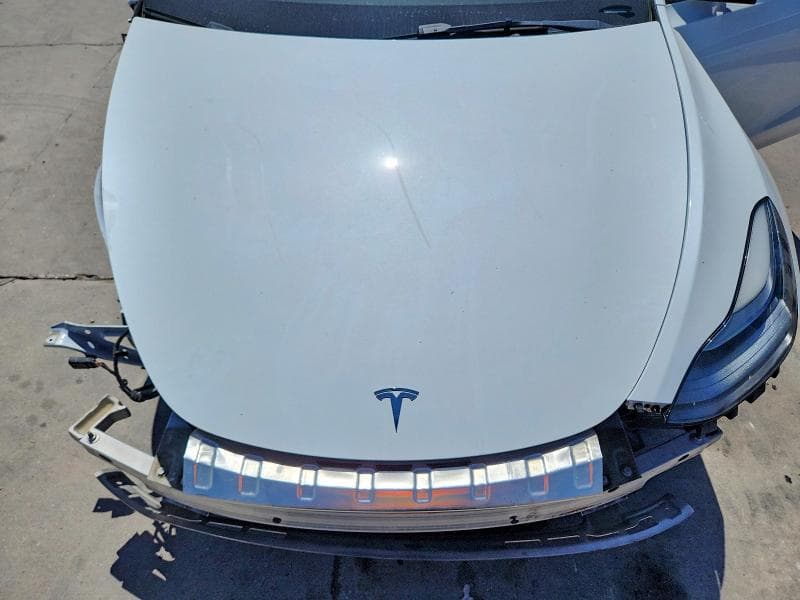 2023 TESLA MODEL Y 11