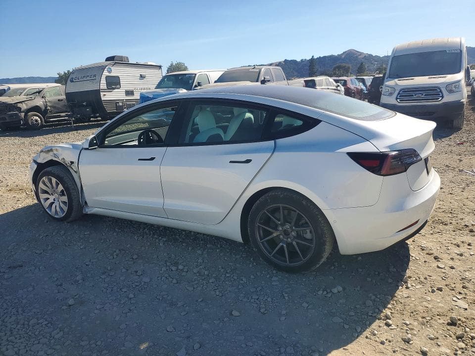 2021 TESLA MODEL 3 2