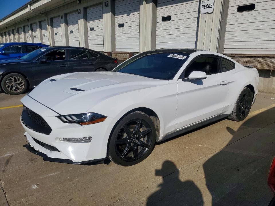 2019 FORD MUSTANG - 1