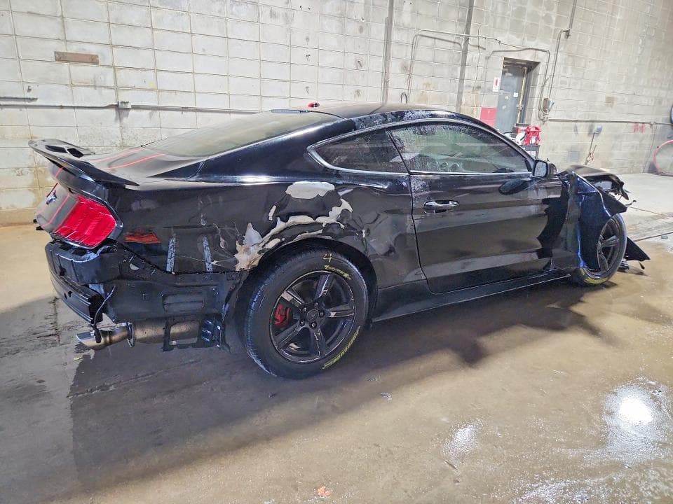 2019 FORD MUSTANG 3