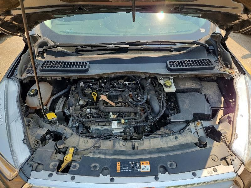 2019 FORD ESCAPE SE 12