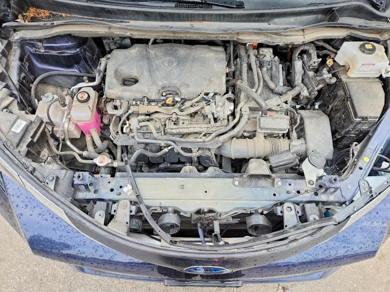 2024 TOYOTA SIENNA XLE 12