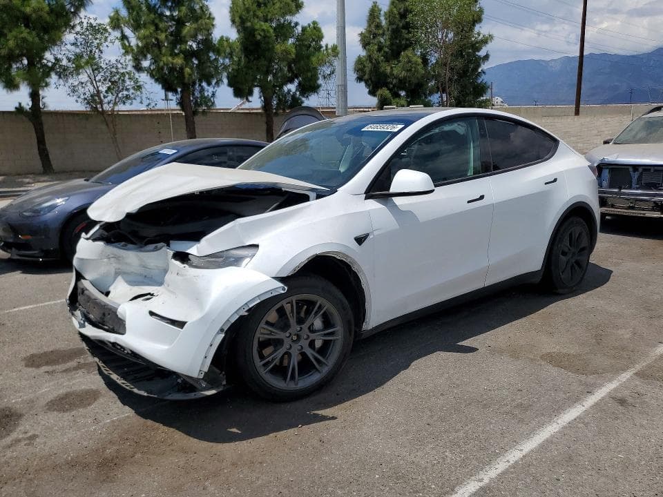 2024 TESLA MODEL Y - 1
