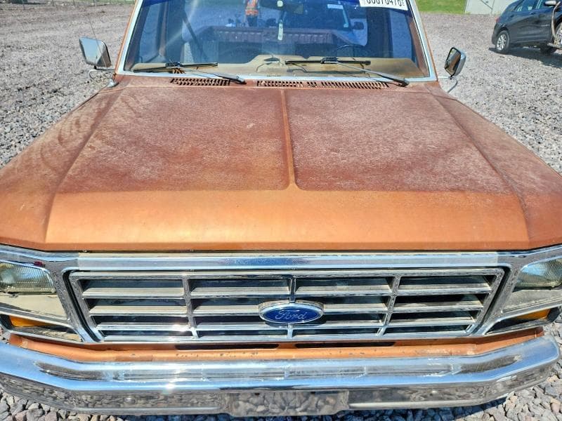 1982 FORD F150 11