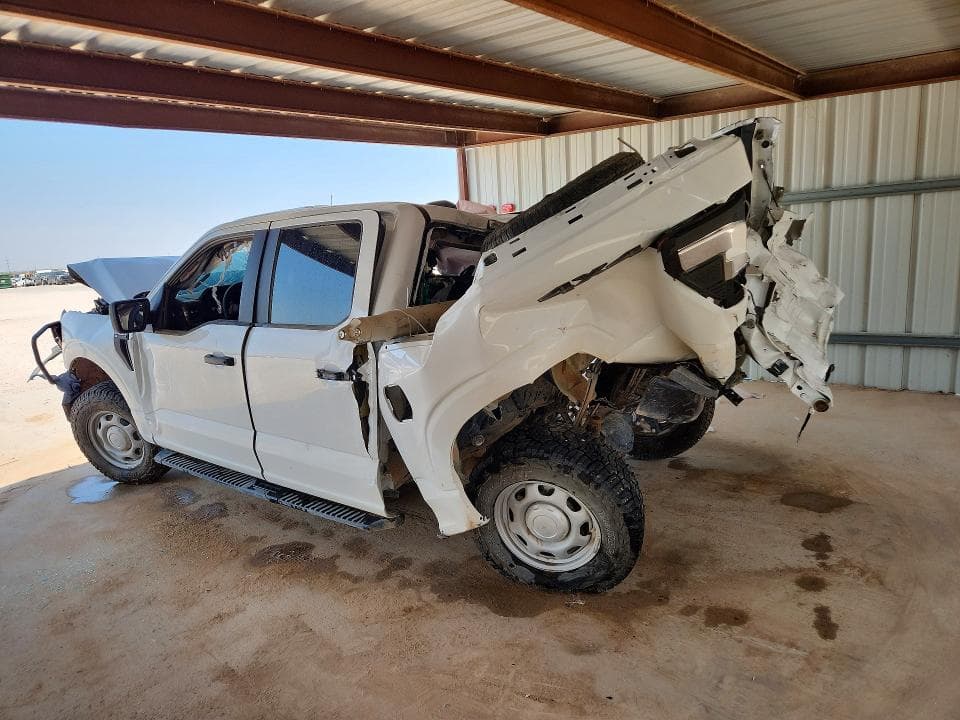 2026 FORD F150 XL 2