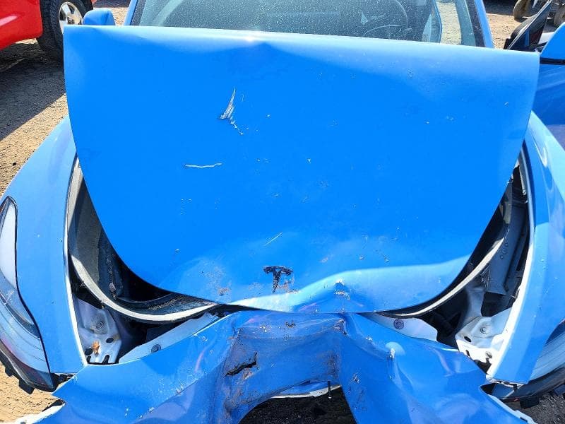 2021 TESLA MODEL Y 11