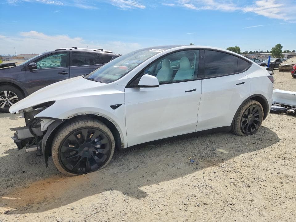 2023 TESLA MODEL Y - 1