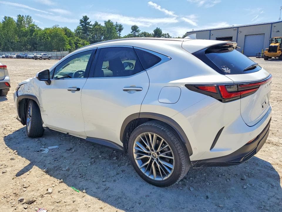 2024 LEXUS NX 350H LUXURY 2