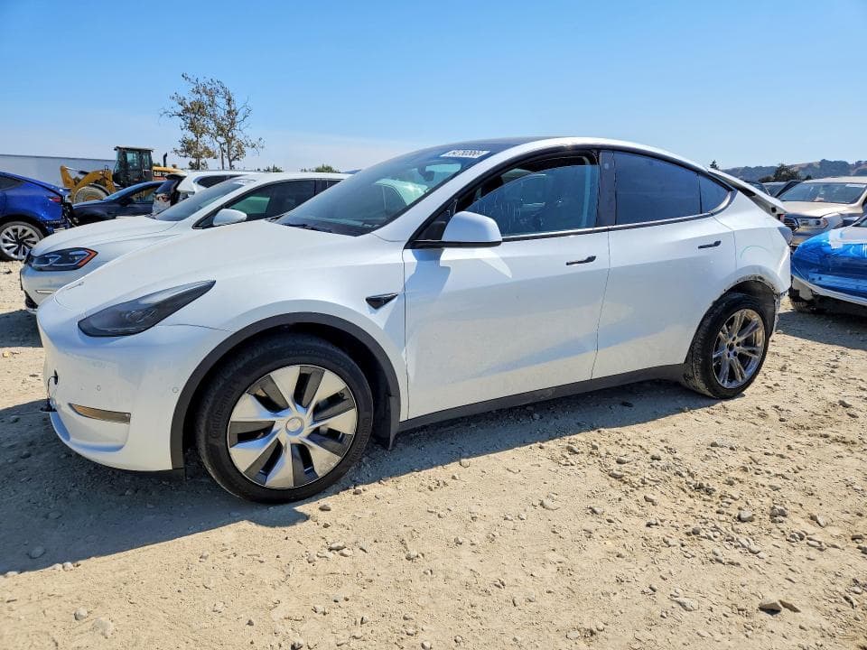 2022 TESLA MODEL Y - 1