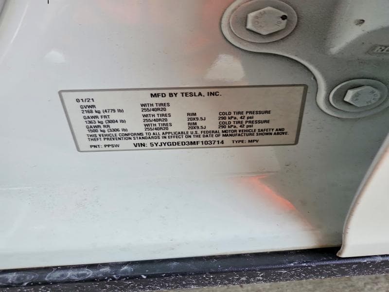 2021 TESLA MODEL Y 12
