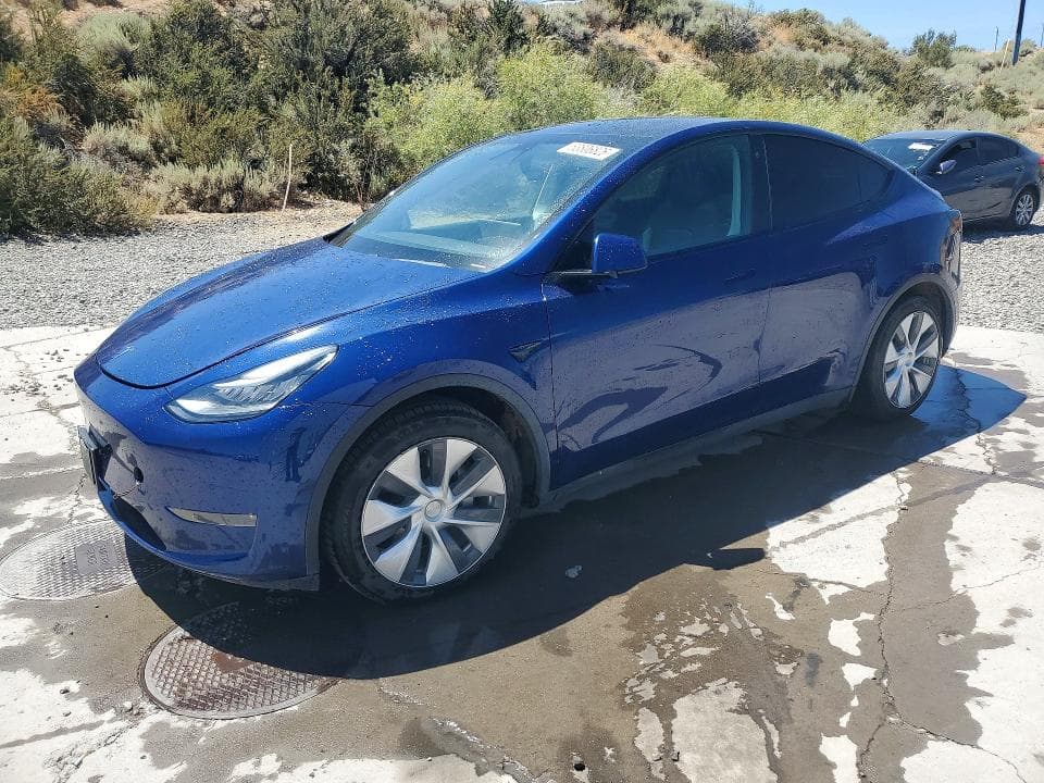 2021 TESLA MODEL Y - 1
