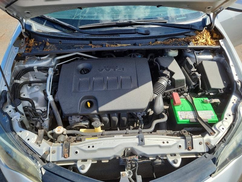 2019 TOYOTA COROLLA L 11
