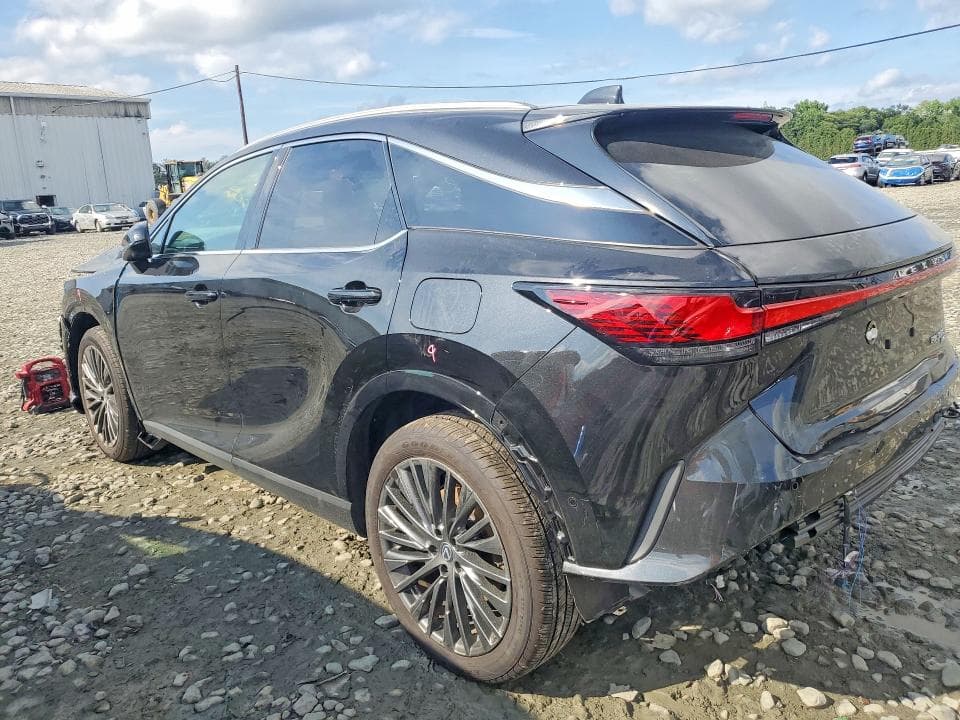 2025 LEXUS RX 350H LUXURY 2