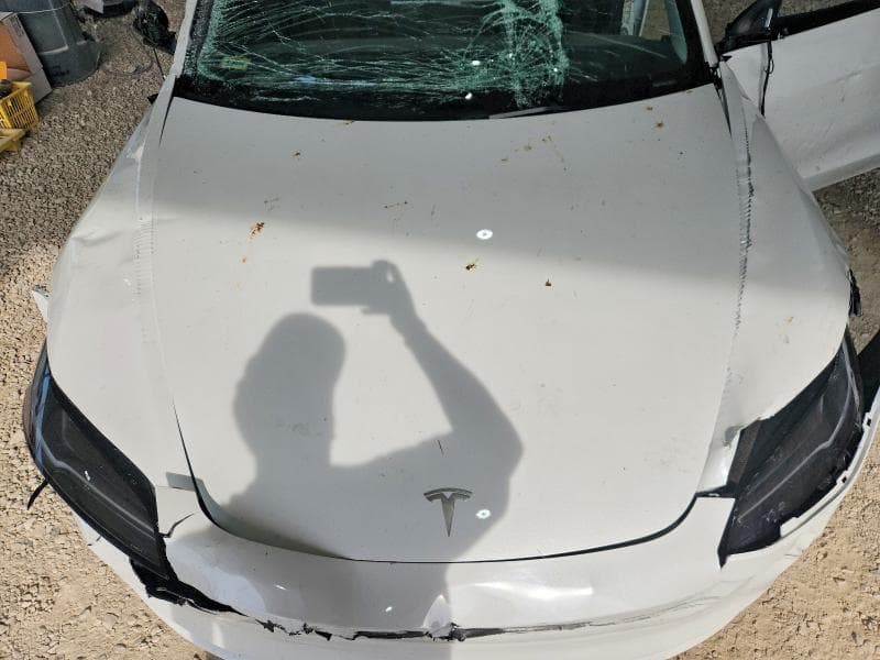 2025 TESLA MODEL 3 12