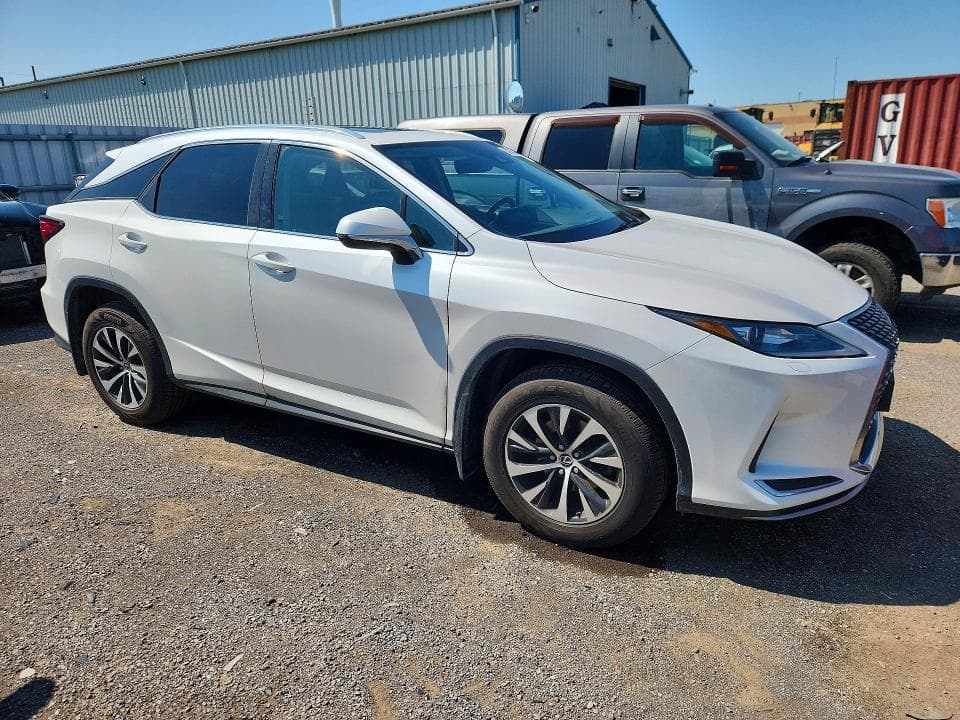 2020 LEXUS RX 350 4