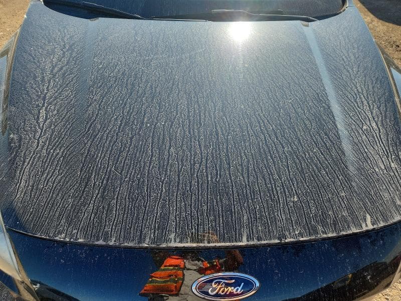 2020 FORD ESCAPE SEL 11