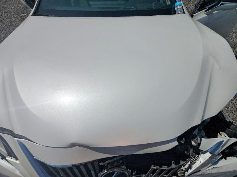 2020 LEXUS ES 350 LUXURY 11