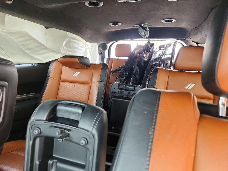 2020 DODGE DURANGO CITADEL 10