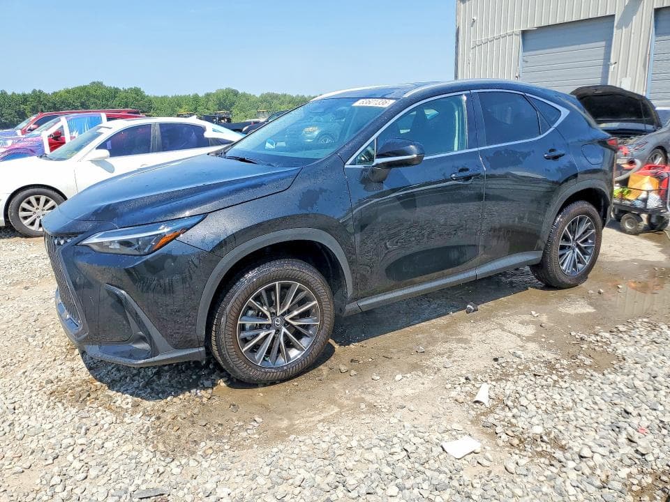 2025 LEXUS NX 250 PREMIUM - 1