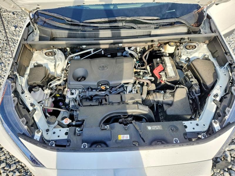 2019 TOYOTA RAV4 XLE PREMIUM 12