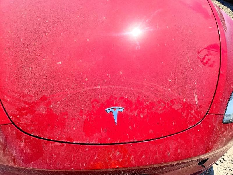 2021 TESLA MODEL Y 12