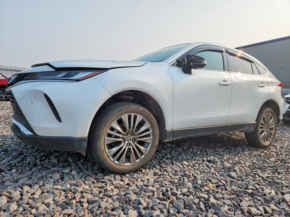 2024 TOYOTA VENZA LIMITED - 1