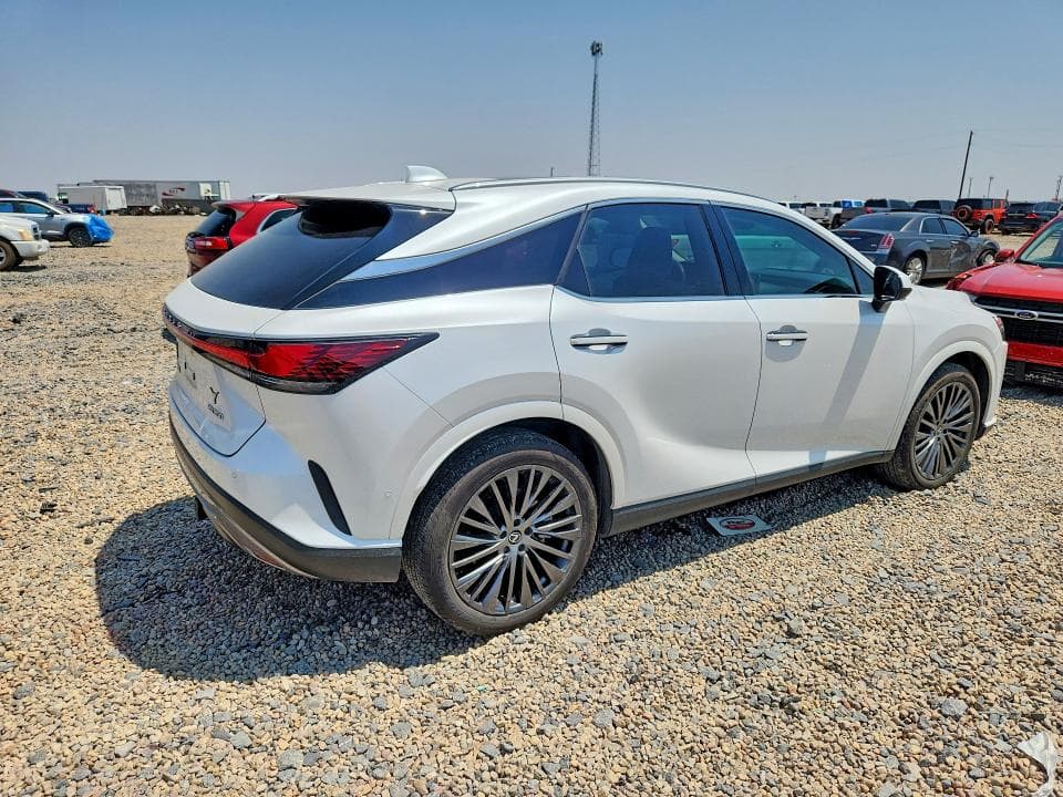 2025 LEXUS RX 350 LUXURY 3