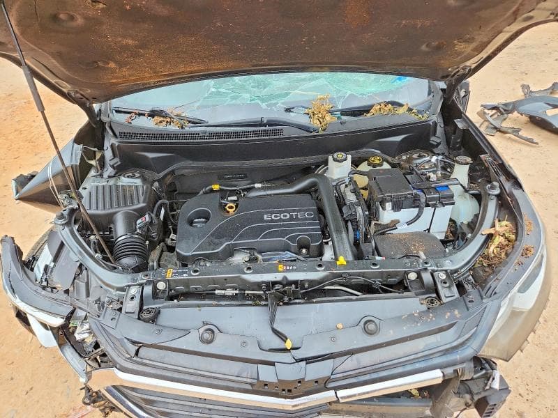 2019 CHEVROLET EQUINOX LS 12