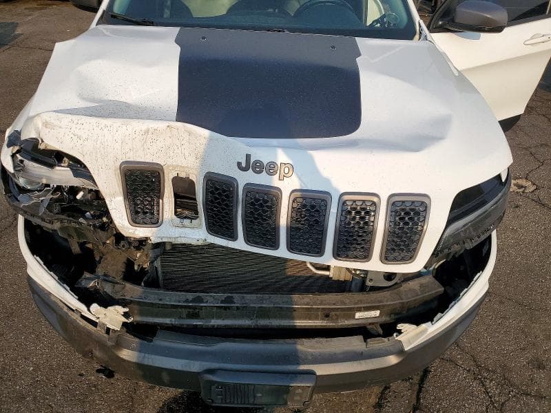 2020 JEEP CHEROKEE TRAILHAWK 11