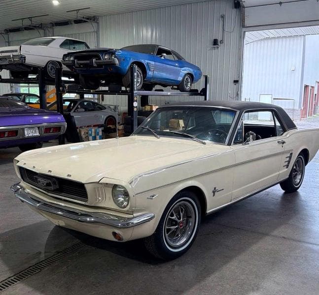 1966 FORD MUSTANG BASE 2