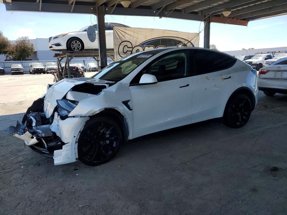 2022 TESLA MODEL Y - 1
