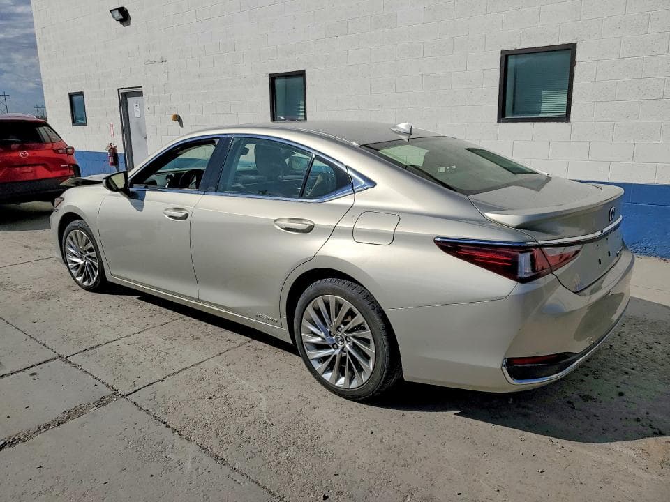 2019 LEXUS ES 300H 2