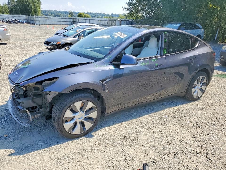 2021 TESLA MODEL Y - 1