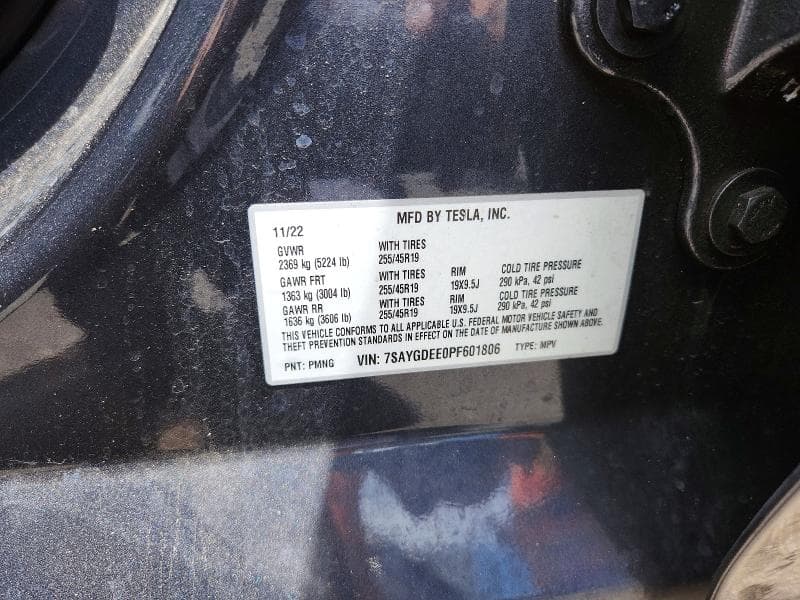 2023 TESLA MODEL Y 13