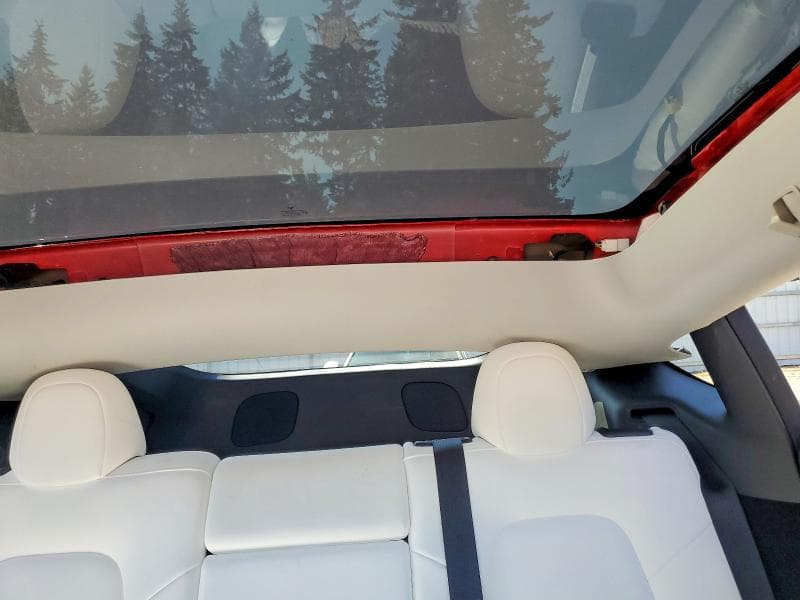 2023 TESLA MODEL Y 10