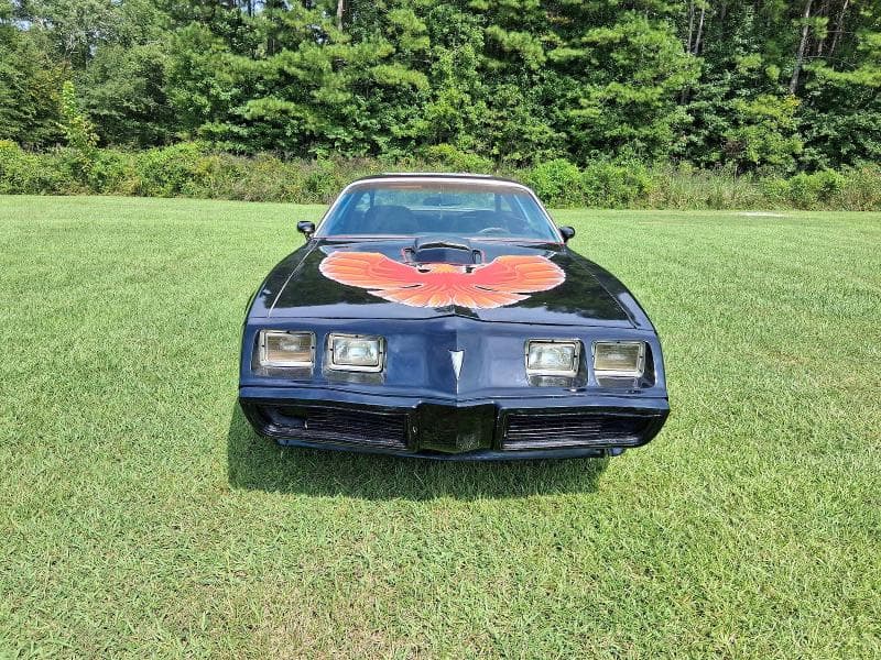 1979 PONTIAC TRANS AM 9