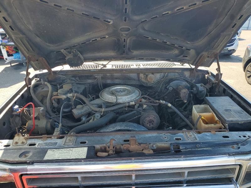 1982 FORD BRONCO U100 12