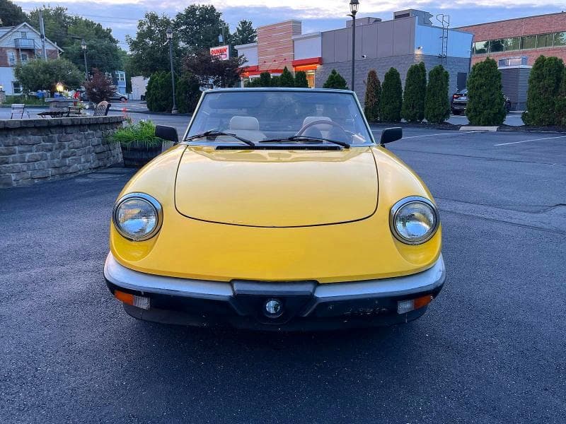 1983 ALFA ROMEO VELOCE 2000 SPIDER 5