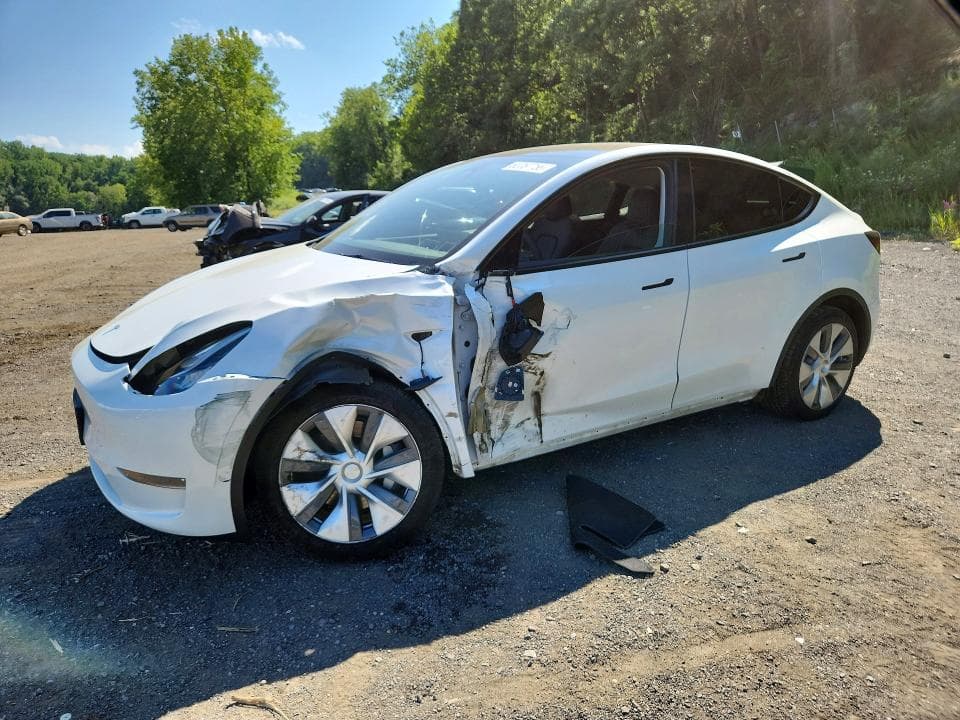 2023 TESLA MODEL Y - 1
