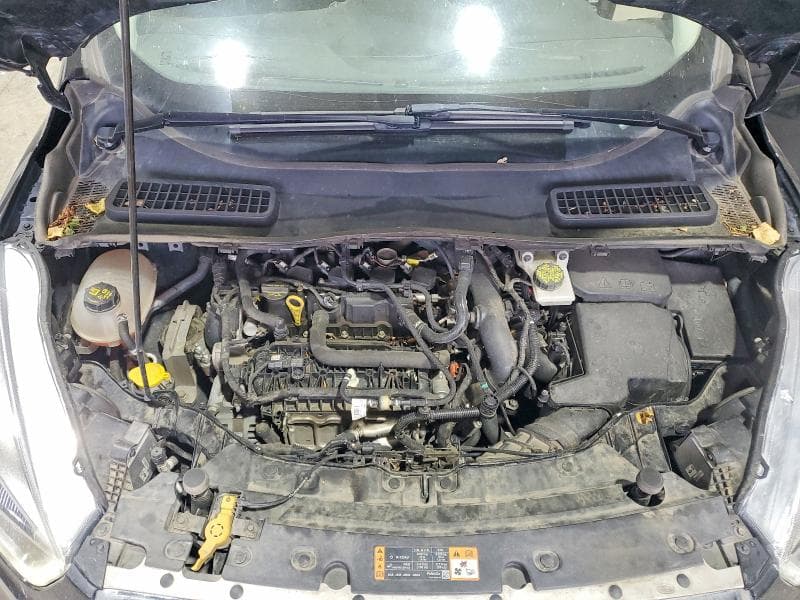 2019 FORD ESCAPE SEL 12