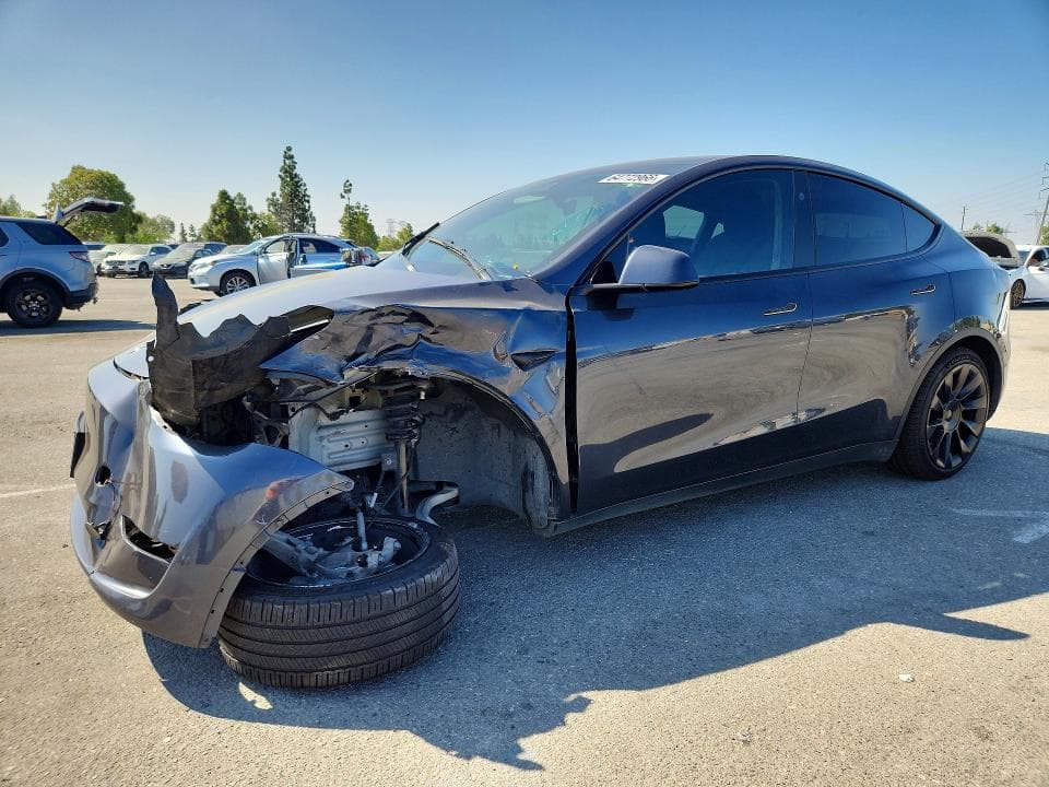 2025 TESLA MODEL Y - 1