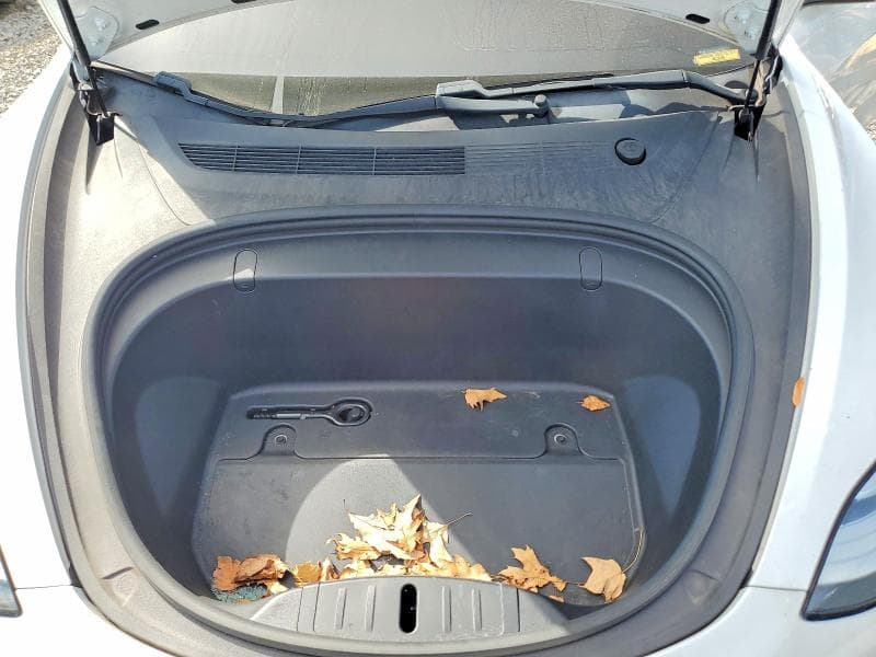 2019 TESLA MODEL 3 11