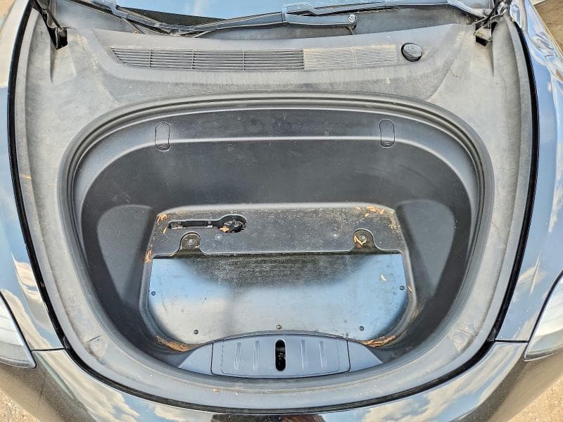 2019 TESLA MODEL 3 11
