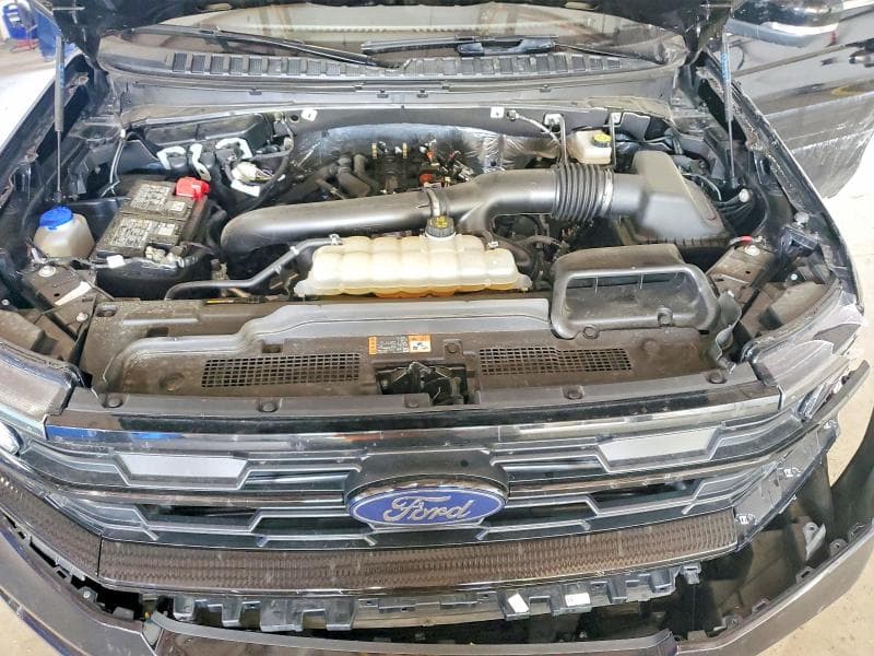 2025 FORD EXPEDITION MAX ACTIVE 12